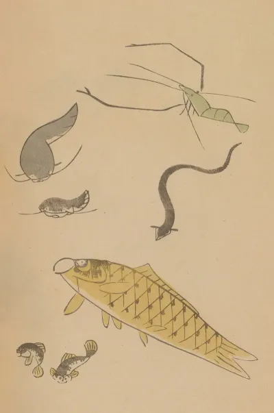Choju Ryakugashiki Pl 41