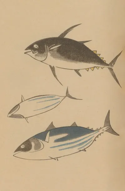 Choju Ryakugashiki Pl 42