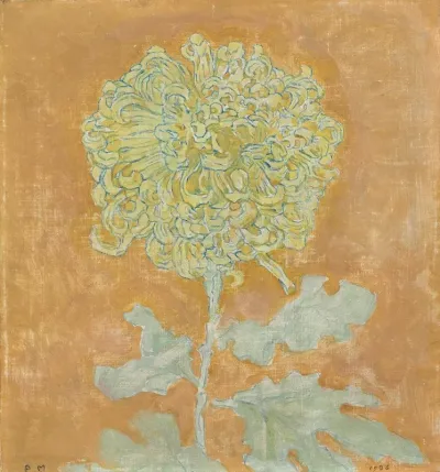 Chrysanthemum 4