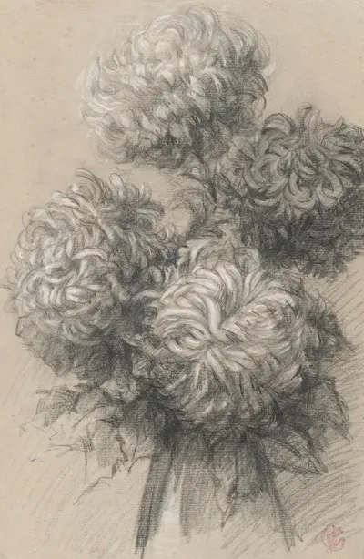 Chrysanthemums 8