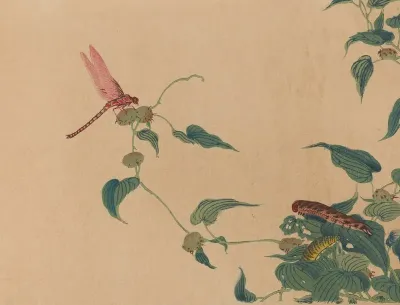 Chuka Senzen Pl 04