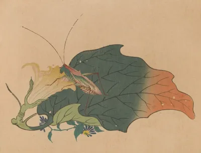 Chuka Senzen Pl 08