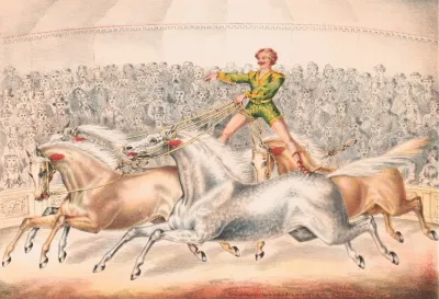 Circus Performer Riding Two Horses At Once