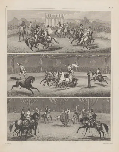 Circuspaarden