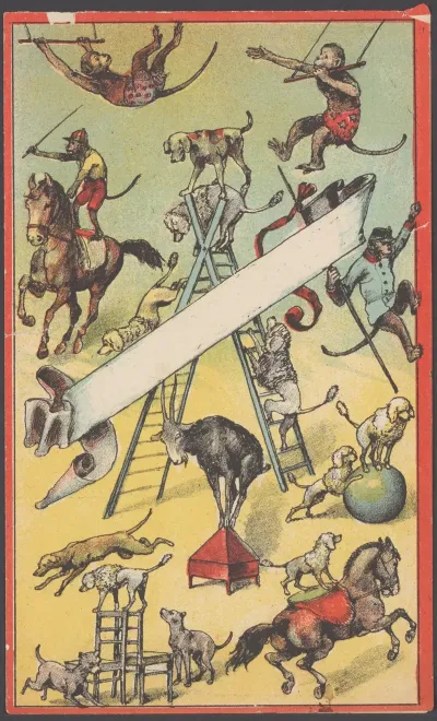 Circusprogramma