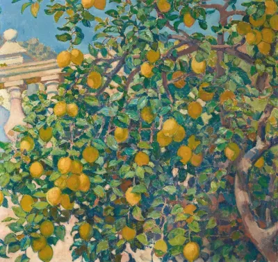 Citronniers A La Mortola