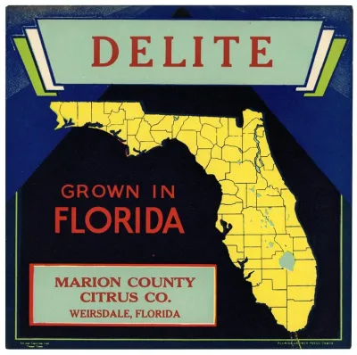 Citrus Label For Delite Black And Blue