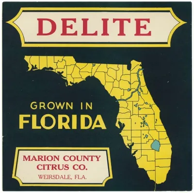 Citrus Label For Delite Black And Yellow