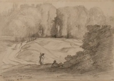 Clairiere Dans Les Bois A Belleville