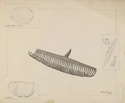 Clam Rake