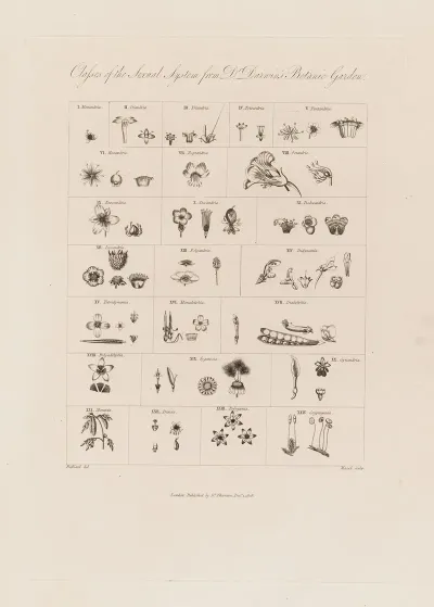 Classes Of The Sexual System From Dr Darwins Botanic Garden