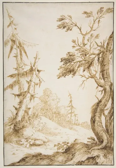 Clearing In A Wooded Landscape