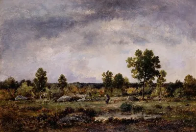 Clearing In The Forest