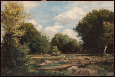 Clearing In The Woods