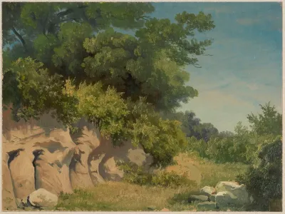 Cliff Overgrown With Trees