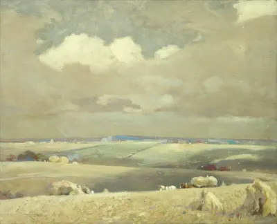 Cloud Shadows In The Lambourne Vale