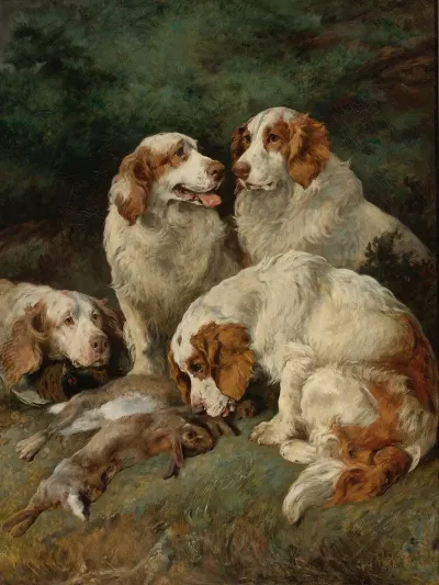 Clumber Spaniels With The Days Bag