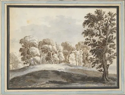 Clump Of Trees Beyond Hills
