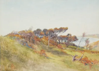 Coast Near Paekakariki