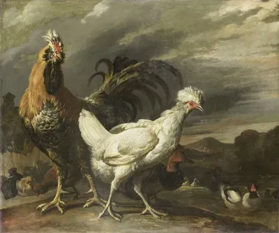 Cock A Hen And Other Poultry