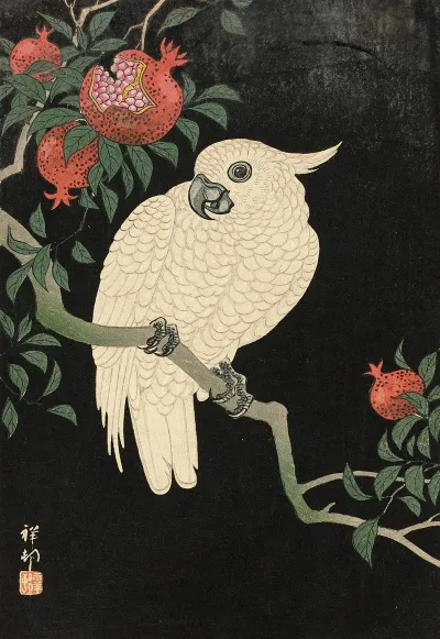 Cockatoo And Pomegranate 2