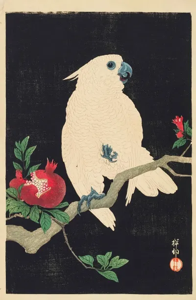 Cockatoo And Pomegranate 3