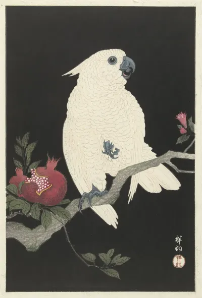 Cockatoo And Pomegranate