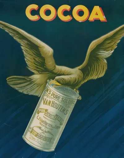Cocoa