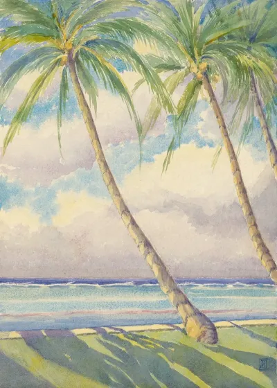 Coconut Palms Honolulu