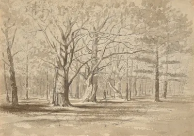 College Woods