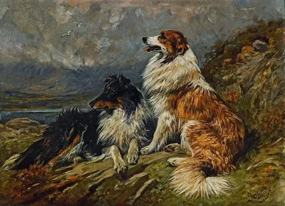 Collies On The Moor