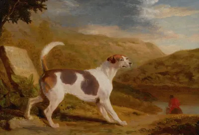Colonel Thorntons Hound Lucifer In A Scottish Landscape