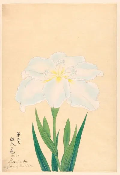 Color Of The Lake Kosui No Iro