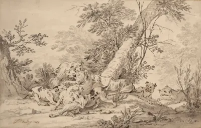 Combat De Chiens En Foret