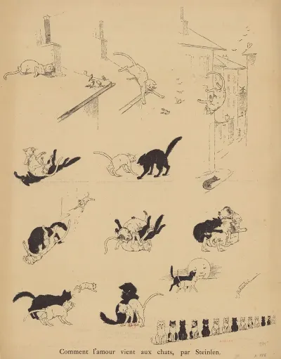 Comment Lamour Vient Aux Chats