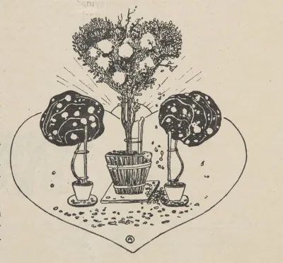 Composition Of Potted Shrubs