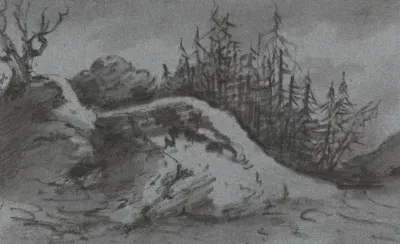 Composition Of Rocks And Pine Trees