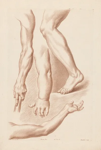 Composition With Arms And Legs