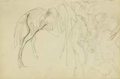 Compositional Study Horse Studies