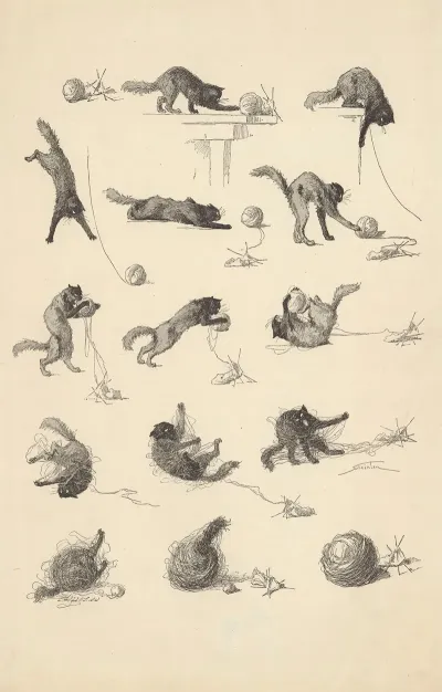 Contes A Sara Le Chat Et La Pelote