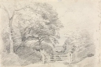 Coombe Wood