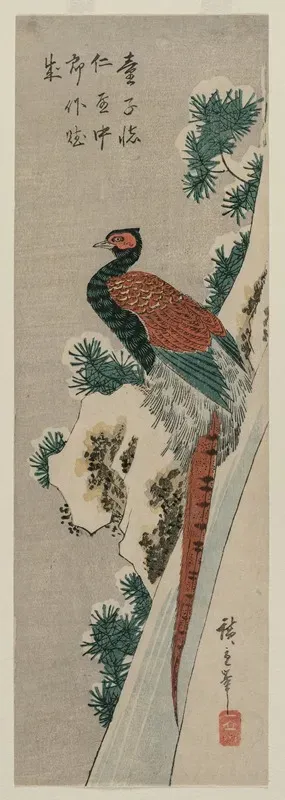 Copper Pheasant By Snowy Waterfall