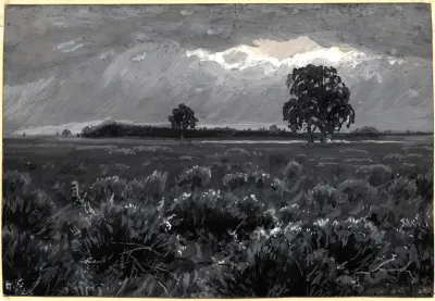 Copses Of Trees On The Baraba Steppe
