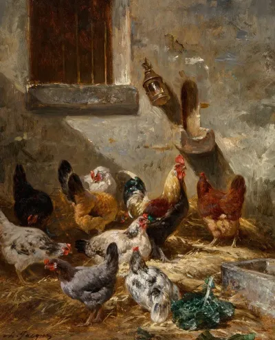 Coq Et Poules Dans La Basse Cour