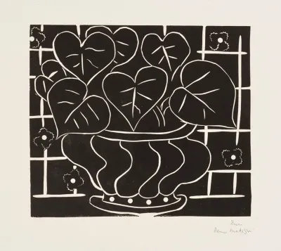 Corbeille De Begonias I