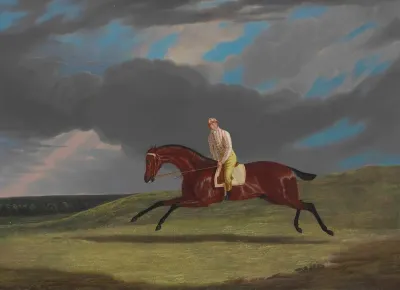 Corduroy A Bay Racehorse With A Jockey Up Galloping On A Racecourse