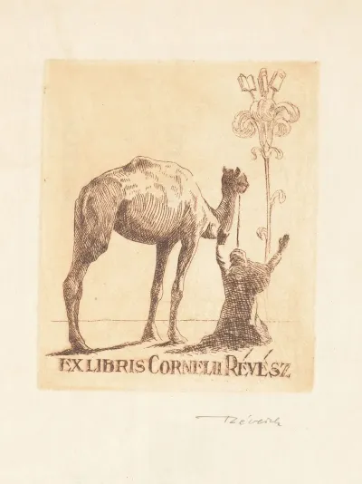 Cornelius Revesz
