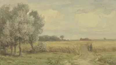 Cornfield In The Summer