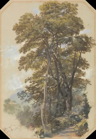 Corpo Di Cava 28 June 1838