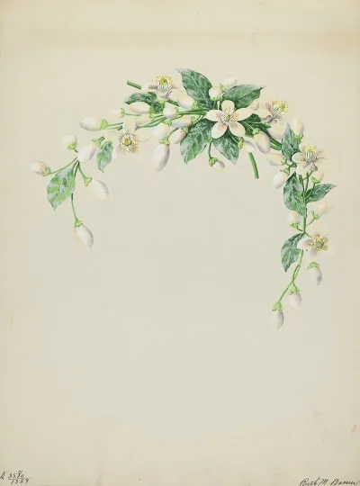 Costume Accessory Orange Blossoms 2